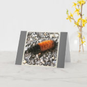 ウールベア毛虫 カード (黄色い花)