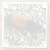 ウールベア毛虫 ガラスコースター (裏面)