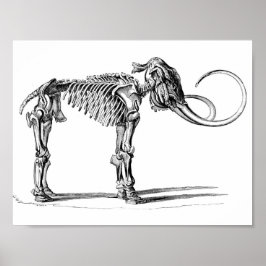 ウールマンモスポスター ポスター