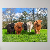 「ウール」 ポスター (正面)