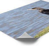 ウ素晴らしウ ポスター (角)