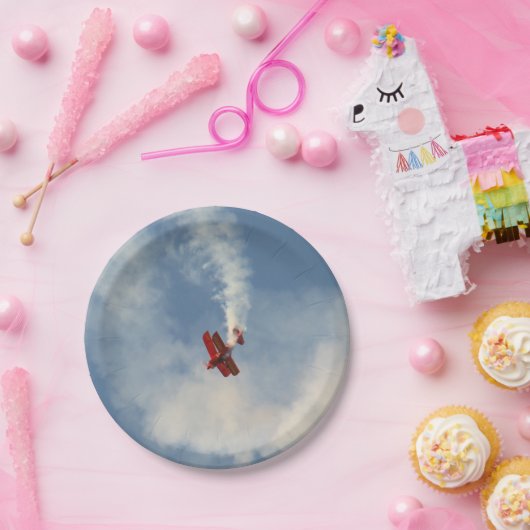 エアショースタントバイプレーン ペーパープレート (パーティー)