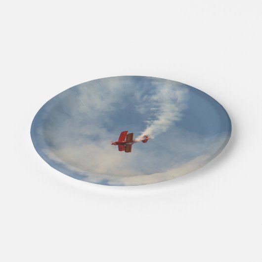エアショースタントバイプレーン ペーパープレート (アングル)