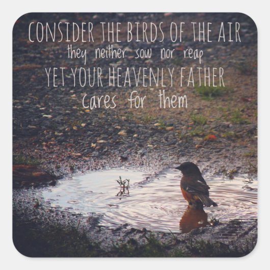 エアスティッカーの鳥を考える スクエアシール (正面)