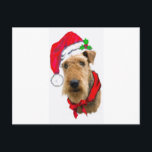 エアデールインサンタハット シーズンポストカード<br><div class="desc">今祝年の皆さんの犬のアイレデール·テリアーとの休日はサンタハットを着たアイレデールの美しいイメージですあ与えるいは、エアデールを持つ友人への贈り物。そして必ず可愛いグリーティングカードを見て下さい！</div>