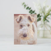 エアデールウェルシュテリア型犬の小犬の頭 ポストカード (スタンド正面)