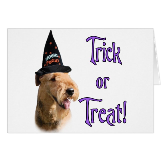 エアデールテリアトリック (正面横)