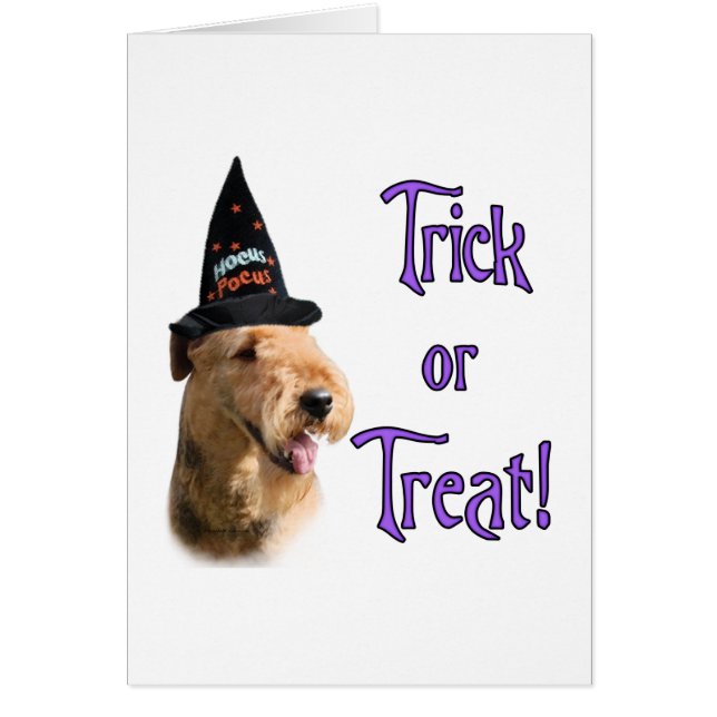 エアデールテリアトリック (正面)