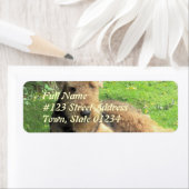 エアデールテリアードッグ差出人住所ラベル ラベル (インサイチュ)