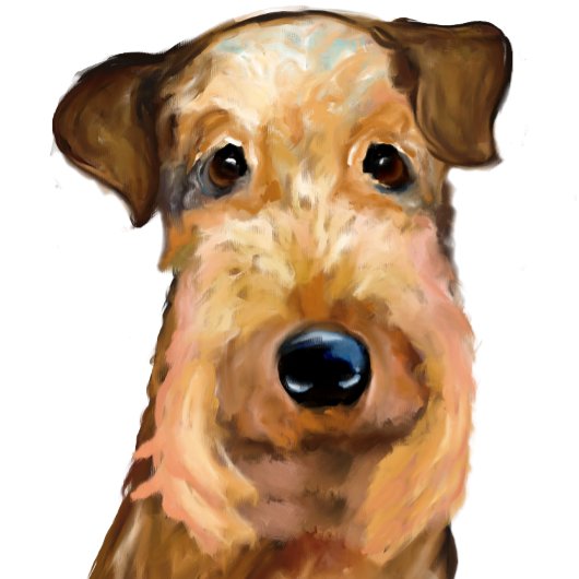 エアデールテリア クッション