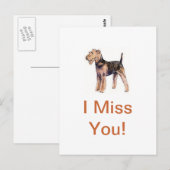 エアデールテリア ポストカード (正面/裏面)