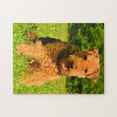 エアデール・テリアの犬 ジグソーパズル (横)