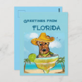 エアデール・テリア ポストカード (正面/裏面)