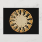 エアドヴァードムイブリッジフェナキストスコープ ポストカード (正面)