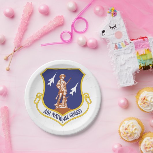 エアナショナルガード軍隊退役軍人 ペーパープレート (パーティー)