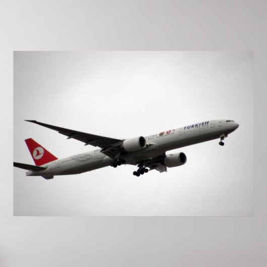 エアプレーン ポスター (正面)