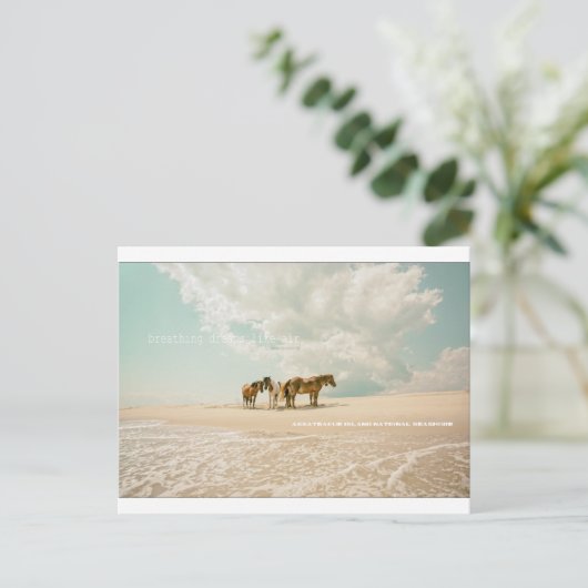 エアポストカードのような夢を呼吸 ポストカード (スタンド正面)