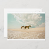 エアポストカードのような夢を呼吸 ポストカード (正面/裏面)