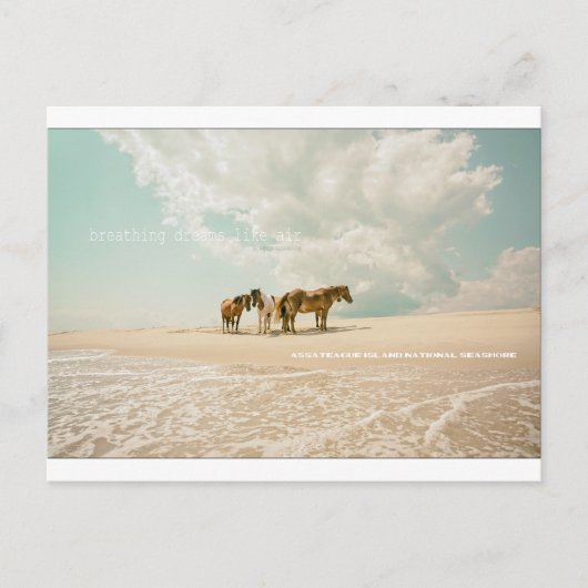 エアポストカードのような夢を呼吸 ポストカード (正面)