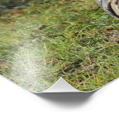 エアマンは湿った野原を這う フォトプリント (角)