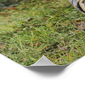 エアマンは湿った野原を這う ポスター (角)