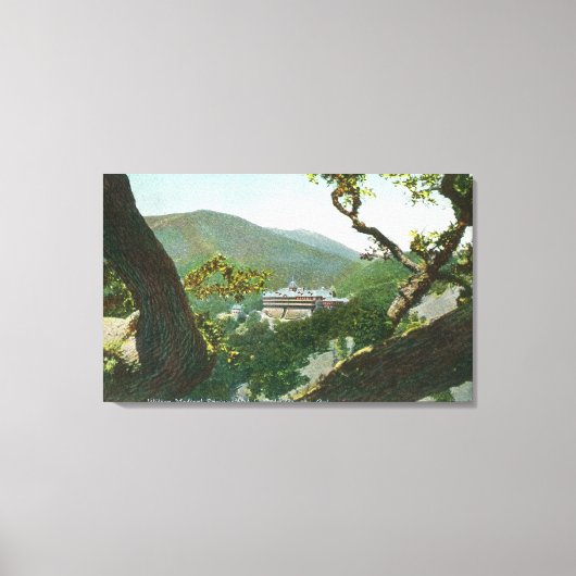 エアリアルビューオブウィターメディカル春 キャンバスプリント (正面)