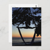 エアリアル シルク シルエット ポストカード (正面/裏面)