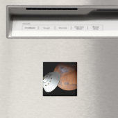 エアロシェルカプセル型の宇宙船が火星に接近する。 マグネット (インサイチュ (食洗機))