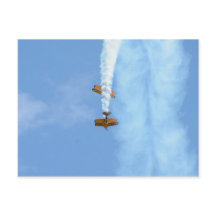 エアロバティックバイプレーン