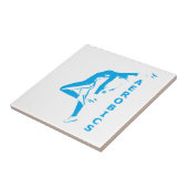 エアロビクス タイル (側面)