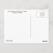 エアーズロックの木々 ポストカード (裏面)