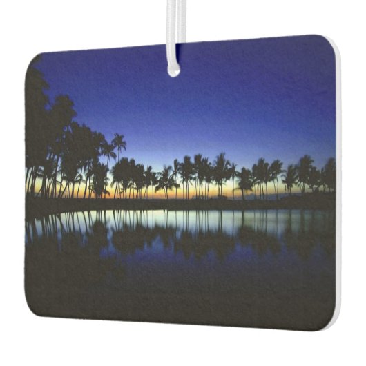 エアーフレッシュナー – アイランドブリーズカーエアーフレッシュナー (左)