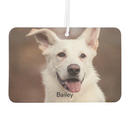 エアーフレッシュナー | カスタム写真、文字、ロゴ (裏面)