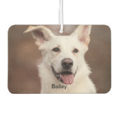 エアーフレッシュナー | カスタム写真、文字、ロゴ (正面)