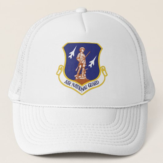 エア・ナショナル・ガード退役軍人 キャップ (正面)