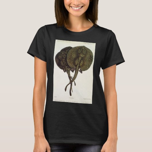 エイの仲間 エイ, 古風な海洋生物 動物 Tシャツ (正面)