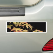 エイサーのバンパーステッカー バンパーステッカー (車上)