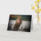 エイジおもしろいング誕生日オールドバードガチョウ カード (黄色い花)