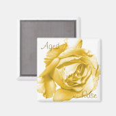 エイジバラ角磁石 マグネット (正面/裏面)