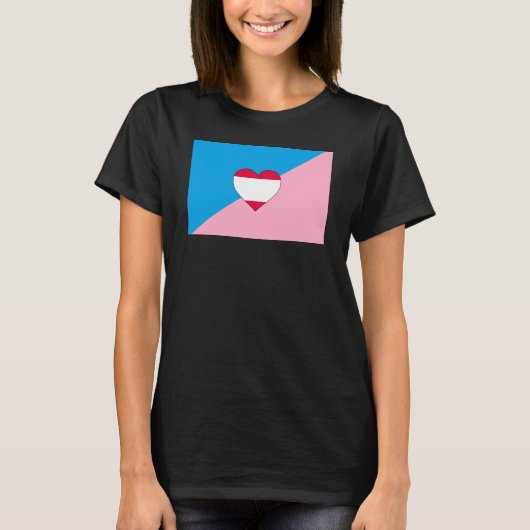 エイジプレイ プライド フラッグ Tシャツ (正面)
