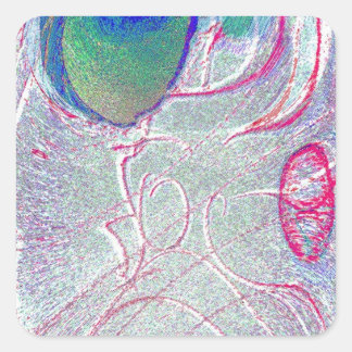 エイジー顔スクエアマグネット スクエアシール