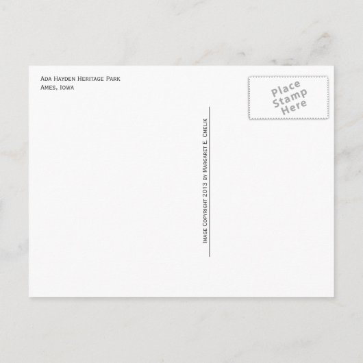 エイダヘイデン伝統パークエントランスサインエイムズIA ポストカード (裏面)