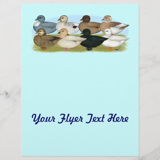 エイトコールダック チラシ (正面)