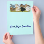 エイトコールダック チラシ (手)