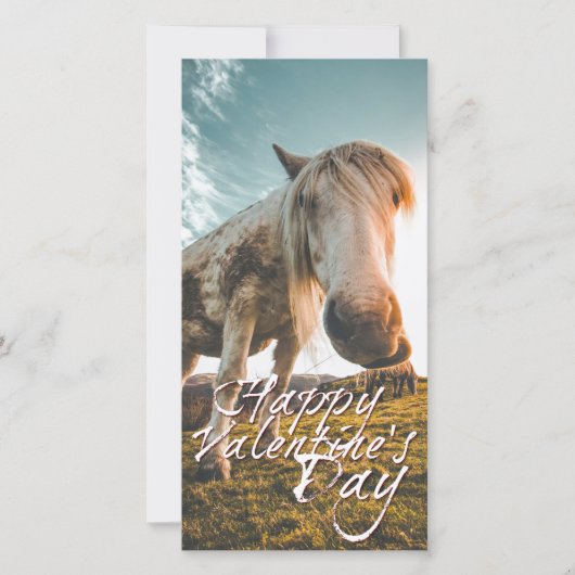 エイネンシェネンバレンティンスタグミットシャウエンデムプフェルド (正面)