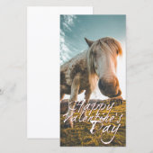 エイネンシェネンバレンティンスタグミットシャウエンデムプフェルド (正面/裏面)