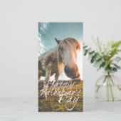 エイネンシェネンバレンティンスタグミットシャウエンデムプフェルド (スタンド正面)