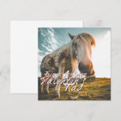 エイネンシェネンバレンティンスタグミットシャウエンデムプフェルド (正面/裏面)