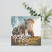 エイネンシェネンバレンティンスタグミットシャウエンデムプフェルド (スタンド正面)