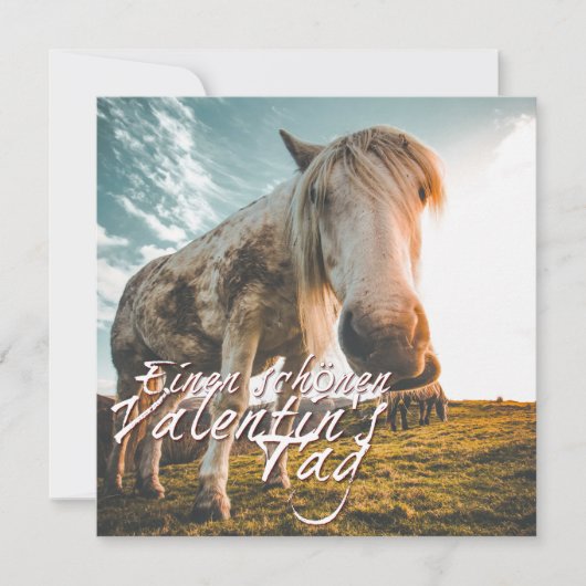 エイネンシェネンバレンティンスタグミットシャウエンデムプフェルド (正面)